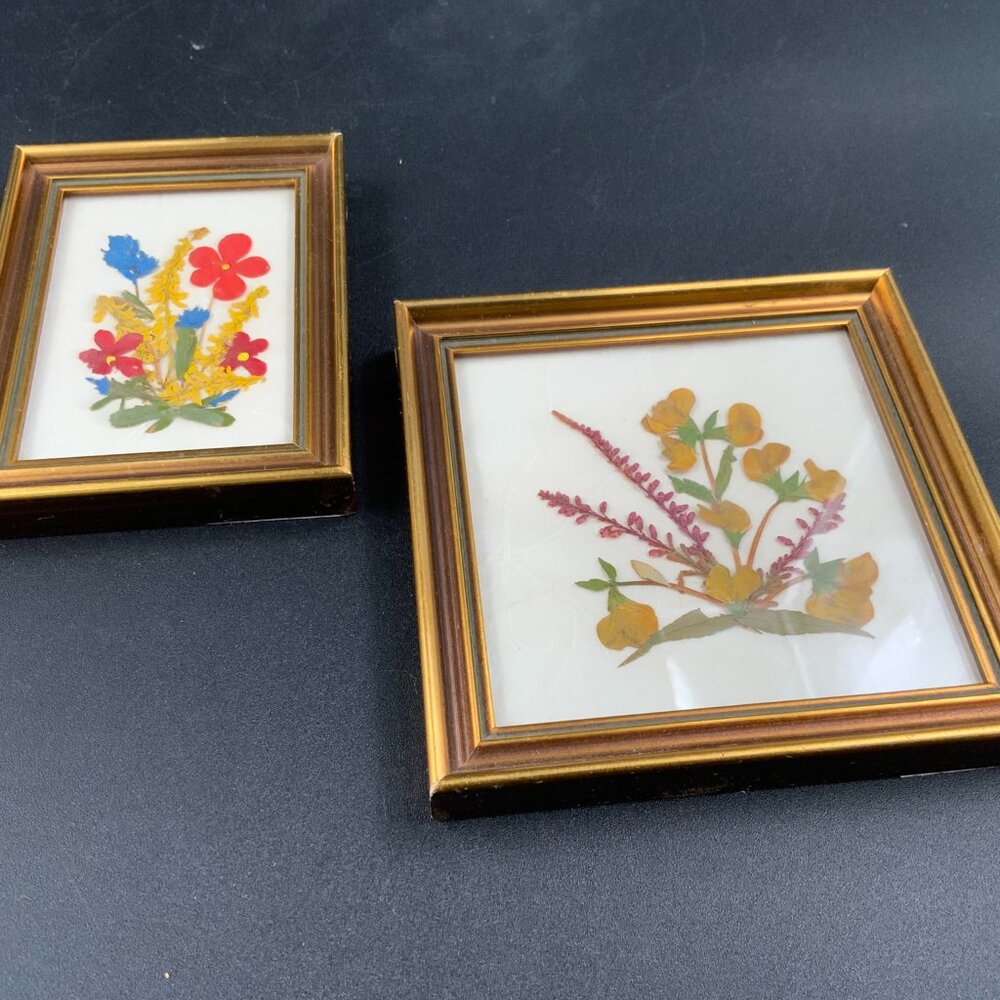 Pair of Vintage Floralp Tyrol Dried Pressed Flowers Wall Hangings Austria
